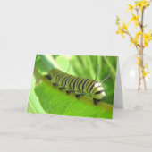 rups Wenskaart Kaart (Gele Bloem)