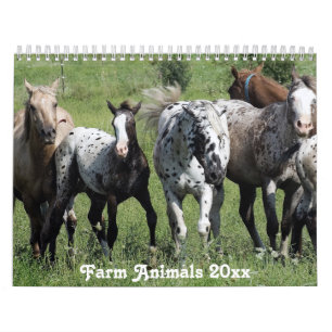 Rural America Farm Animals Kalender