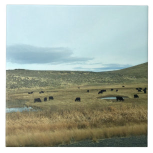Rural Baker County, Oregon Tegeltje