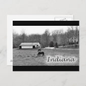 Rural Indiana Briefkaart (Voorkant / Achterkant)