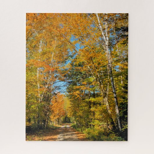 Rural Road Autumn Colors New Hampshire Legpuzzel (Verticaal)