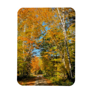 Rural Road Autumn Colors New Hampshire Magneet