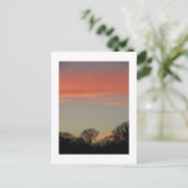 Rural Sunset (Winter): Cheshire, Engeland Briefkaart (Staand voorkant)