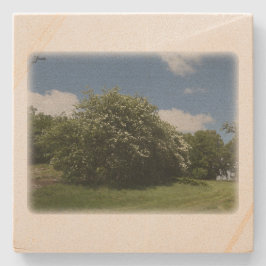 Rural Sweden June Stenen Onderzetter