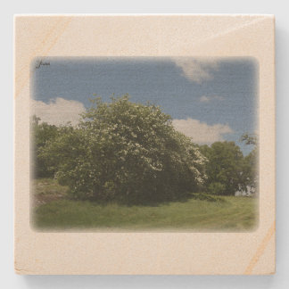 Rural Sweden June Stenen Onderzetter