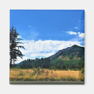 Rural Washington, Randle, WA Magneet