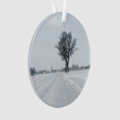 Rural winter road (devant)