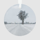 Rural winter road (dos)