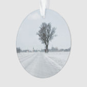 Rural winter road (devant)