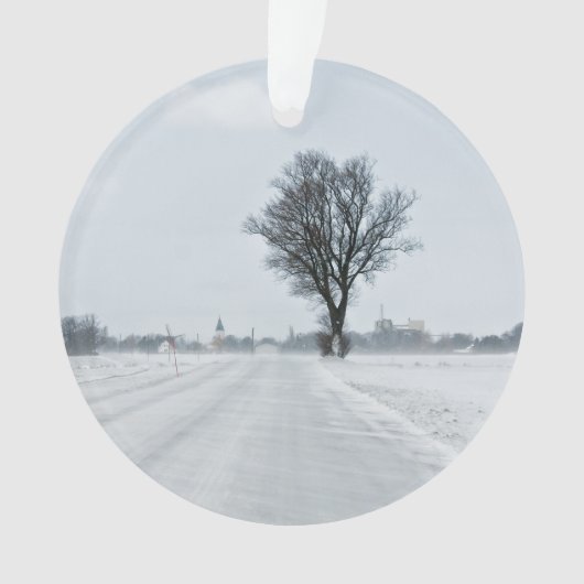 Rural winter road (devant)