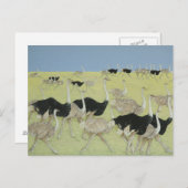 Rush uur 2 briefkaart (Voorkant / Achterkant)