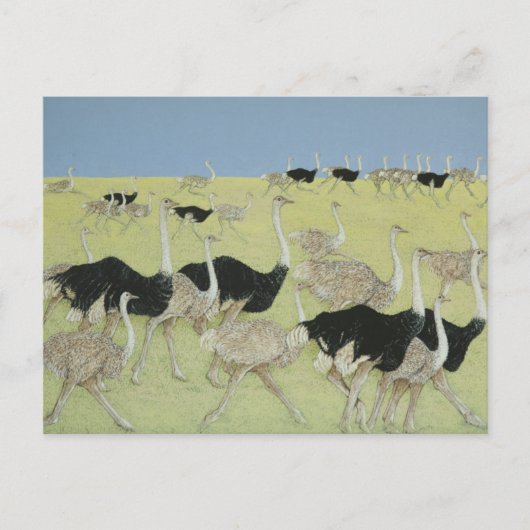 Rush uur 2 briefkaart (Voorkant)