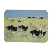 Rush uur 2 magneet (Horizontaal)