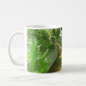 Rushing River onder de Mok Trees (Links)