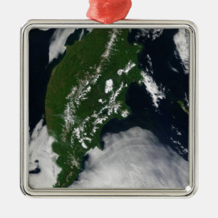 Rusland: Kaap Koolvis - Gratis Grijze zuivel - Kam Metalen Ornament