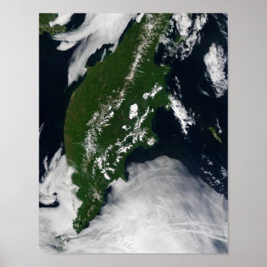 Rusland: Kaap Koolvis - Gratis Grijze zuivel - Kam Poster (Voorkant)