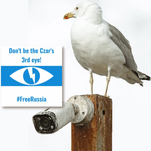 Rusland Vrije Democratisch Engels - Third Eye Sticker