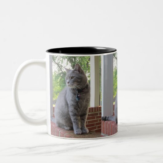 Russ La Mug Du Chat (Gauche)