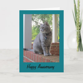 Russ The Cat Happy Anniversary Greeting Card Kaart