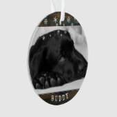 Russe Chien de bois Animaux de compagnie Photo Sno (devant)