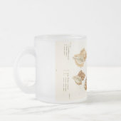Russe Vintage Mollusks Coquillage café Mug (Gauche)