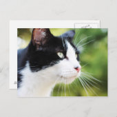 Russell 1 briefkaart (Voorkant / Achterkant)