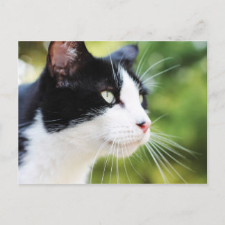 Russell 1 briefkaart