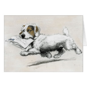 Russell Terrier levert post