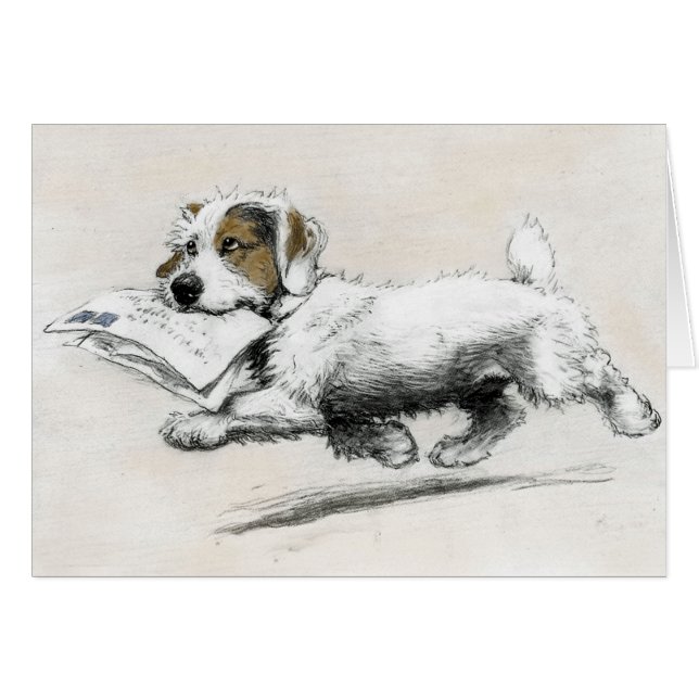 Russell Terrier levert post (Voorkant Horizontaal)