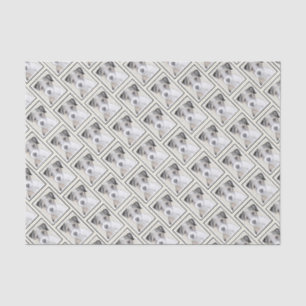 Russell Terrier Rough Painting - Original Dog Art Tissuepapier