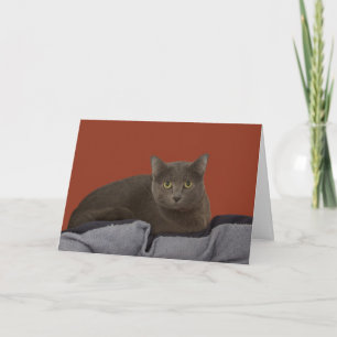Russian Blue Birthday Kaart beroemd gemaakt door F