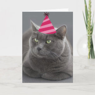 Russian Blue Cat Birthday Kaart Focus for a Cause