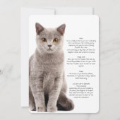 Russie Bleu Chat Anniversaire Bash Invitation (Dos)
