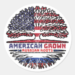Russisch - Amerikaanse Amerikaanse Amerikaanse Ame Ronde Sticker