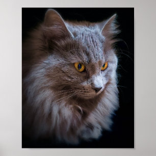 Russisch blauw grijs nebelung Cat Wall Art Poster