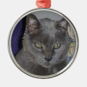 Russisch blauw kat metalen ornament