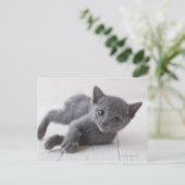 Russisch Blauw Katje Briefkaart (Staand voorkant)