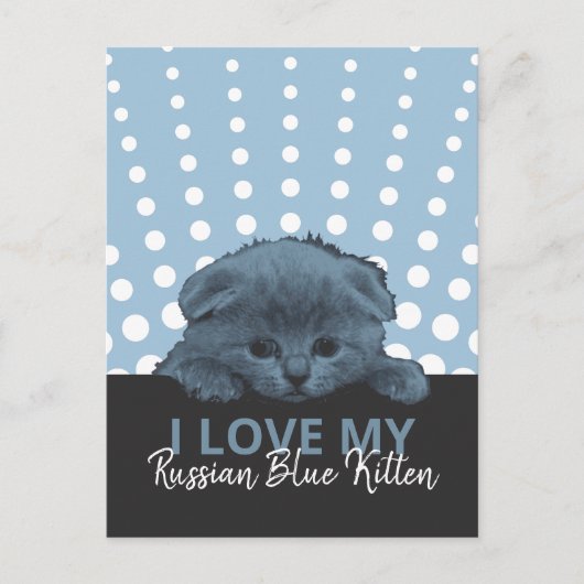 Russisch Blauw Kitten Briefkaart (Voorkant)