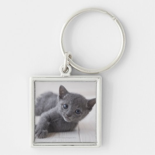 Russisch Blauw Kitten Sleutelhanger (Voorkant)