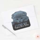 Russisch Blauw Kitten Vierkante Sticker (Envelop)