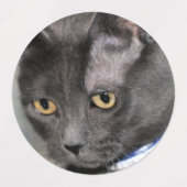 Russisch blauw labels (Design 2)