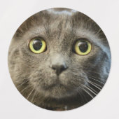 Russisch blauw labels (Design 1)