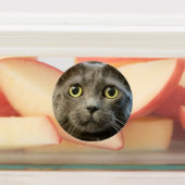 Russisch blauw labels (Aangebracht)