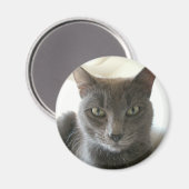 Russisch blauw mix magneet (Voorkant / Achterkant)