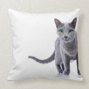 Russisch Blauwe Kat Kussen