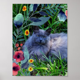 Russisch Poster met blauw katje met lange adem