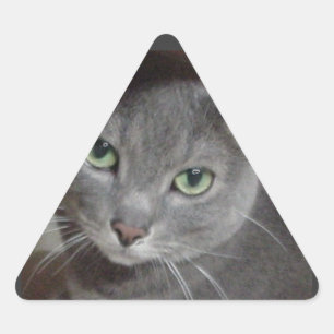 Russische blauwe grijze kat driehoek sticker