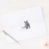 Russische blauwe kat vierkante sticker (Envelop)