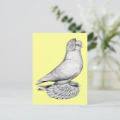 Russische duif briefkaart (Staand voorkant)