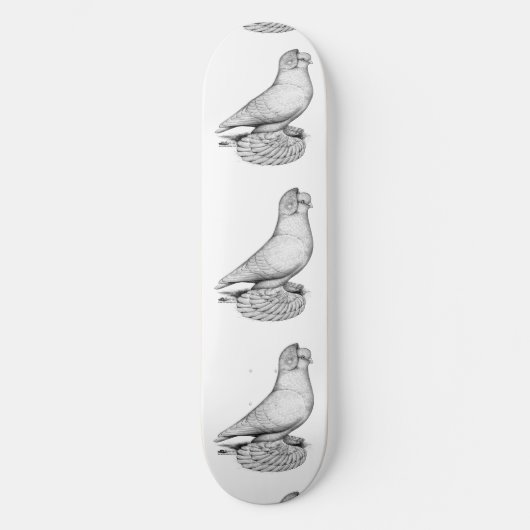 Russische duif skateboard (Voorkant)